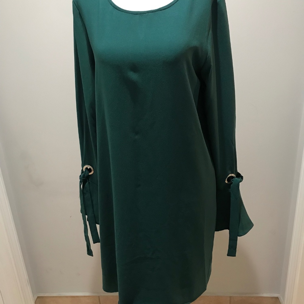Tresics long sleeve dress with ruffle sleeve